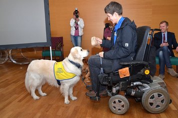 Hunde als Assistenten