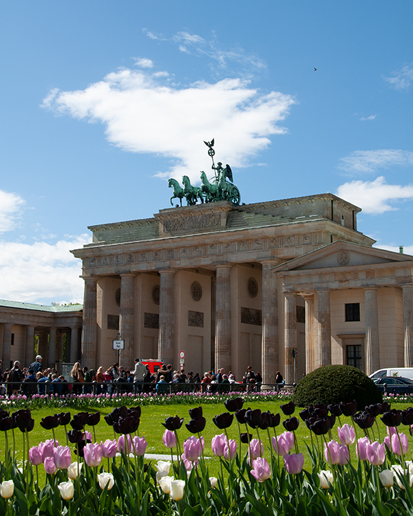 Tulpen vor Brandenburger Tor in Berlin